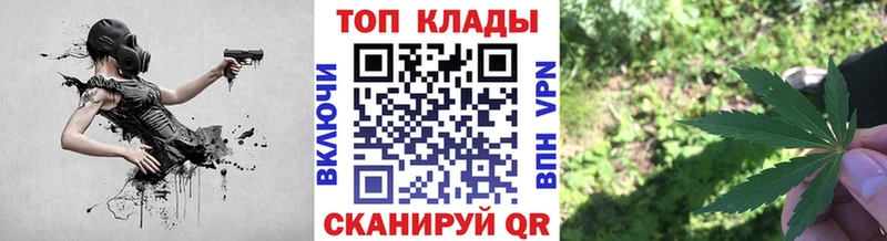 Как найти наркотики Долгопрудный СК  COCAIN  Меф мяу мяу  Галлюциногенные грибы  ГАШИШ 