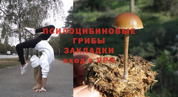 spice Балахна