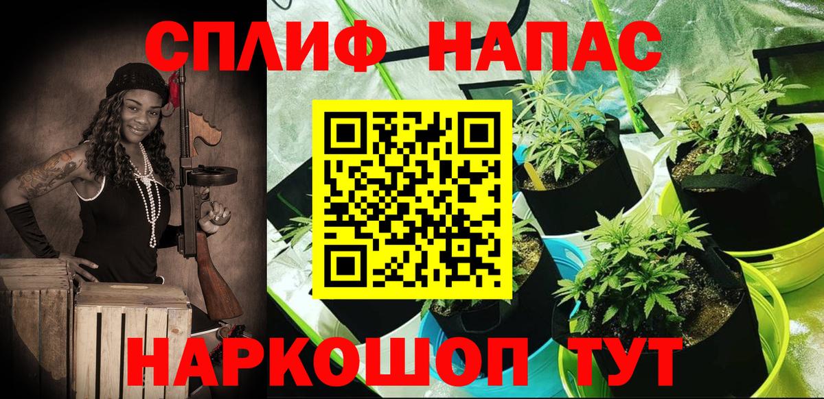 Канабис сатива  Вход с VPN  МАРИХУАНА планчик  Долгопрудный 